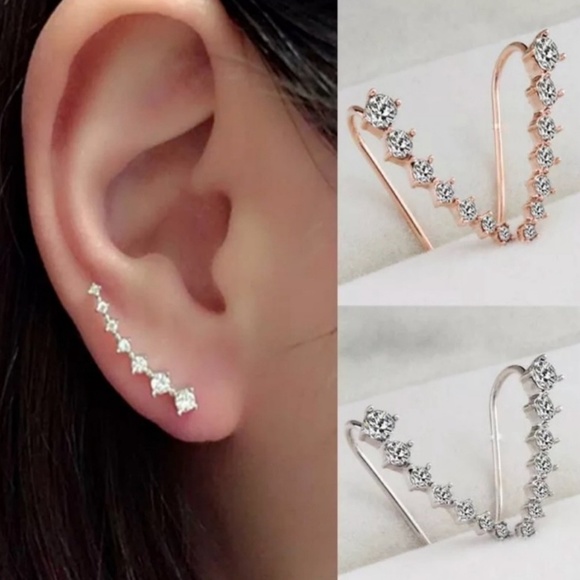 Jewelry - 🌵 Silver Crawler Earrings 💎